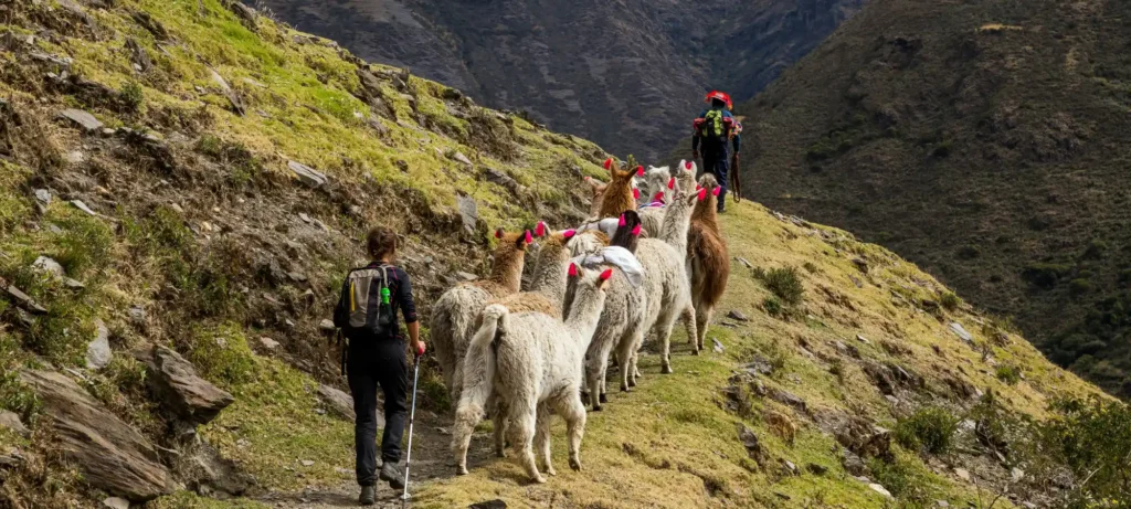 Lares Trek + Camino Inca Corto a Machu Picchu en 4 días