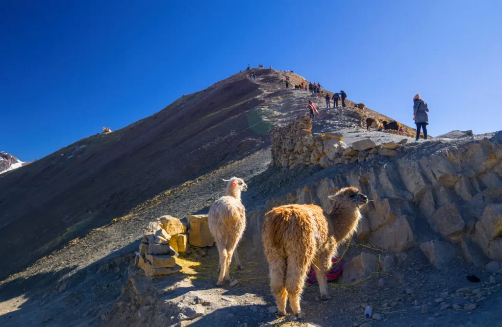 View from below to the viewpoint of the colorful mountain